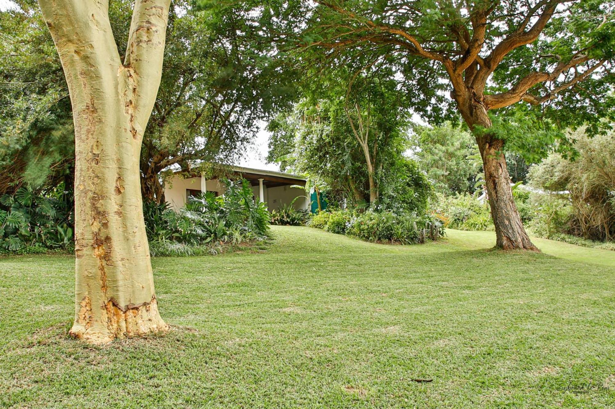 Ndlovu Addo River Lodge Kirkwood Eksteriør bilde